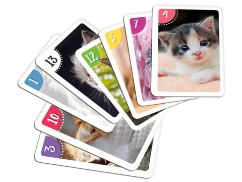 Karty gra karciana PIOTRUŚ + PAMIĘĆ - KOTY 2782 Karty gra karciana PIOTRUŚ + PAMIĘĆ - KOTY 2782